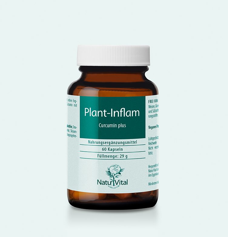 Plant-Inflam Curcumin plus